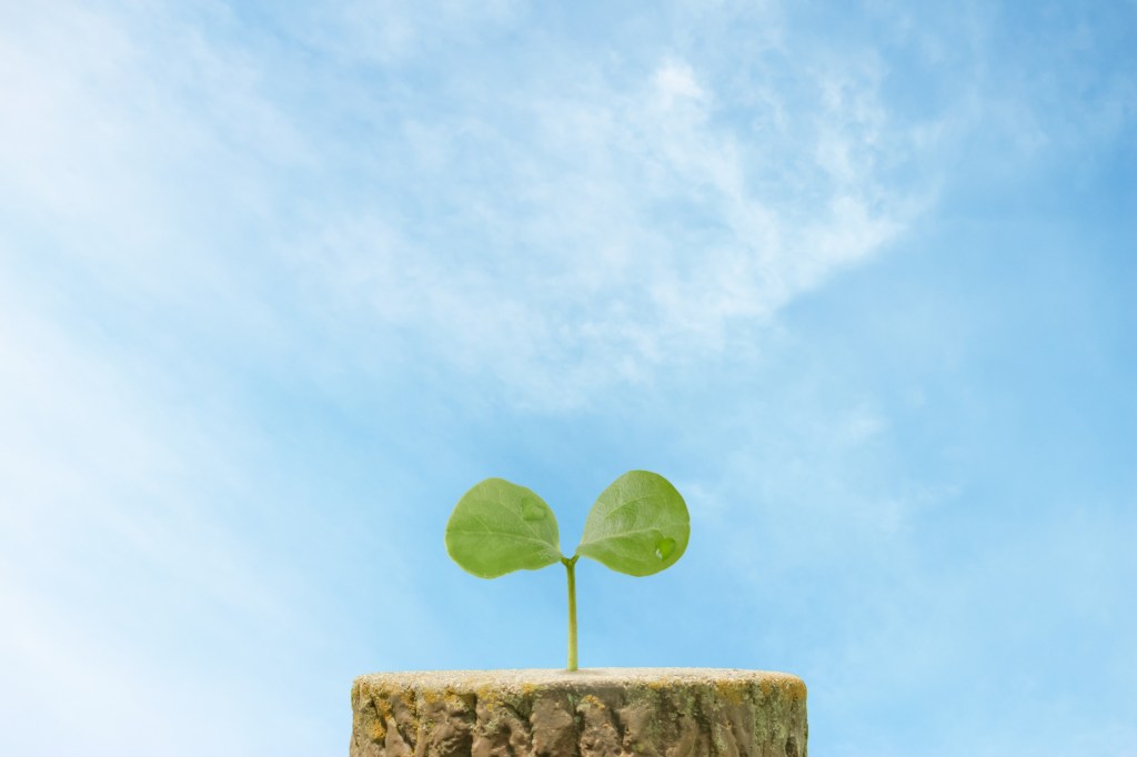 DOKOWELL　学び×運動×健康