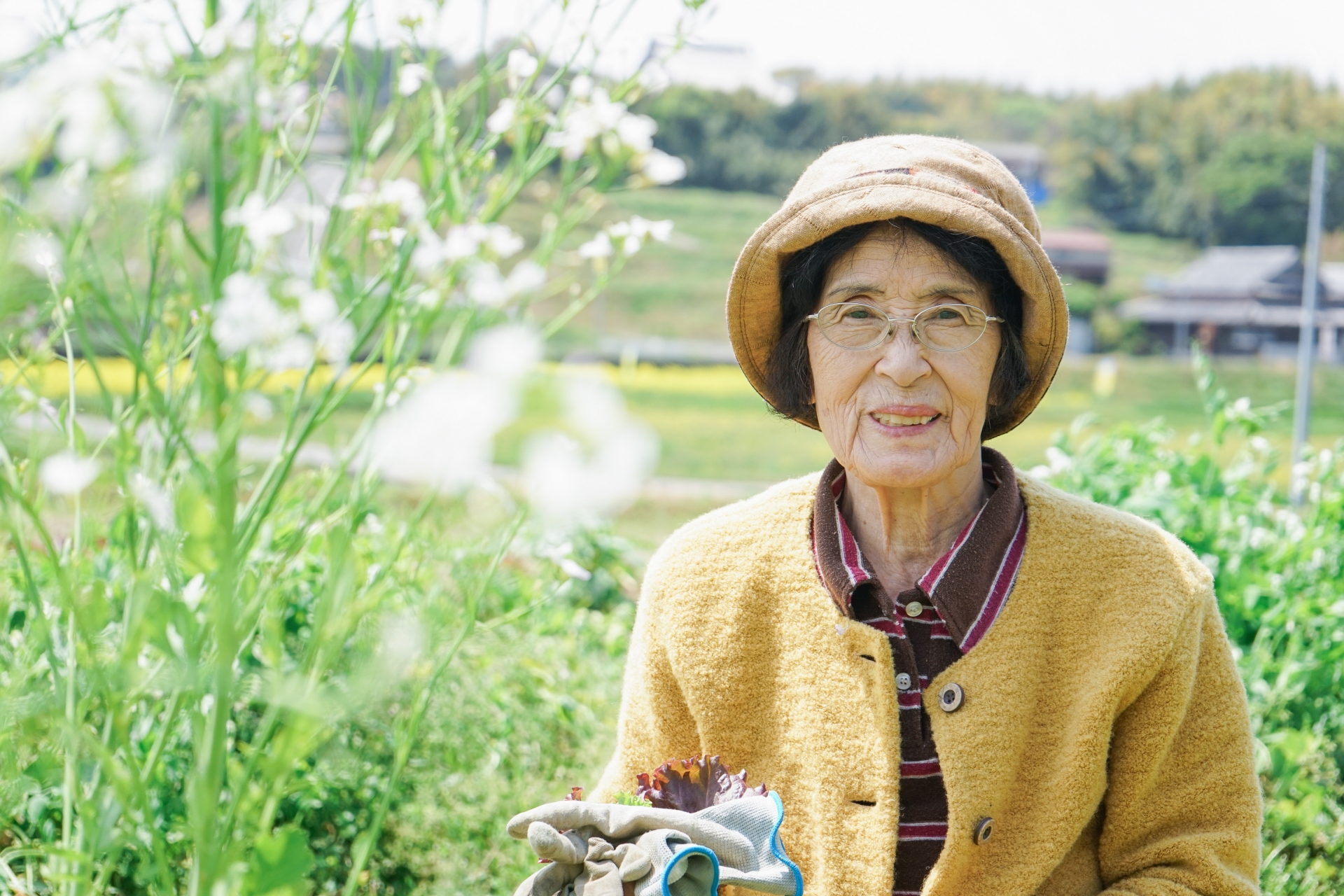 糸島市・野菜農家（70代・女性Fさん）